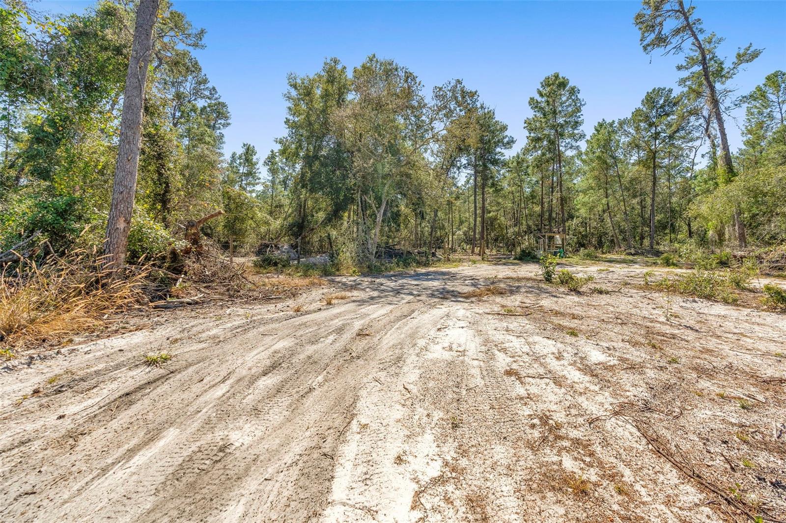 DEEP WOODS RD, PAISLEY, FL — photo 85