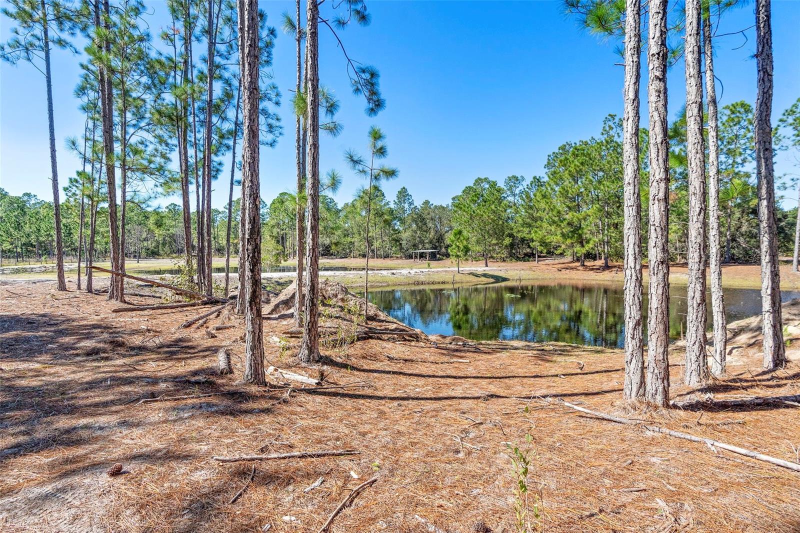 DEEP WOODS RD, PAISLEY, FL — photo 93
