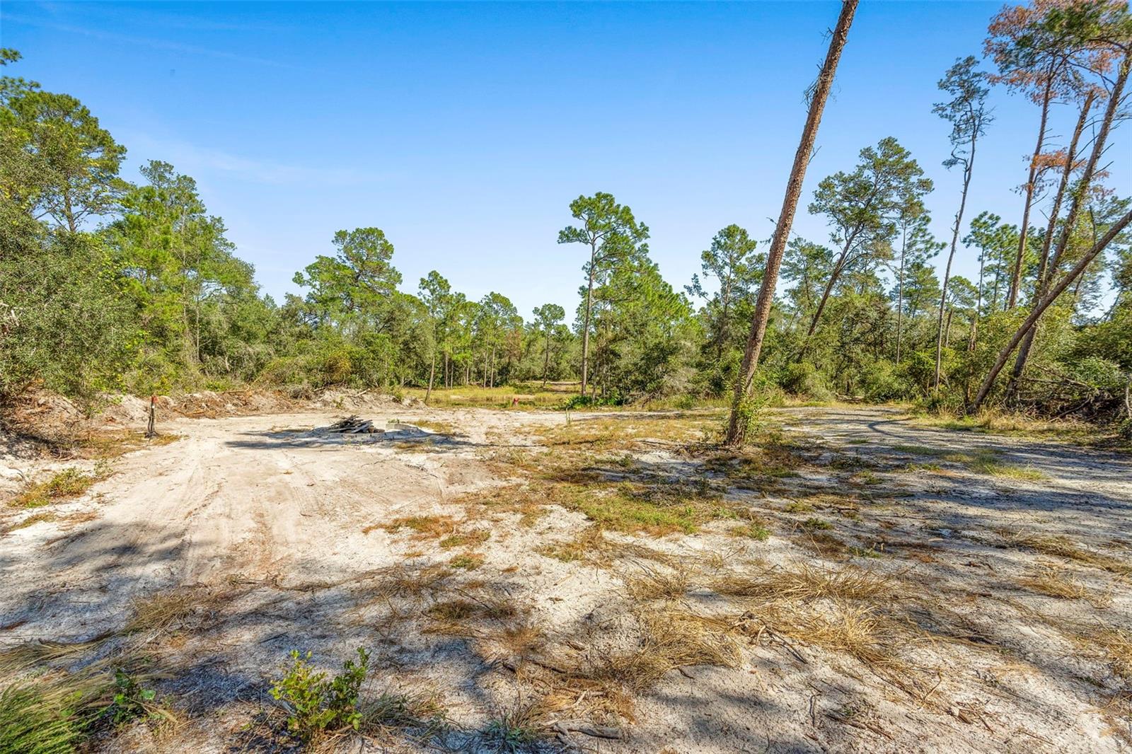 DEEP WOODS RD, PAISLEY, FL — photo 94