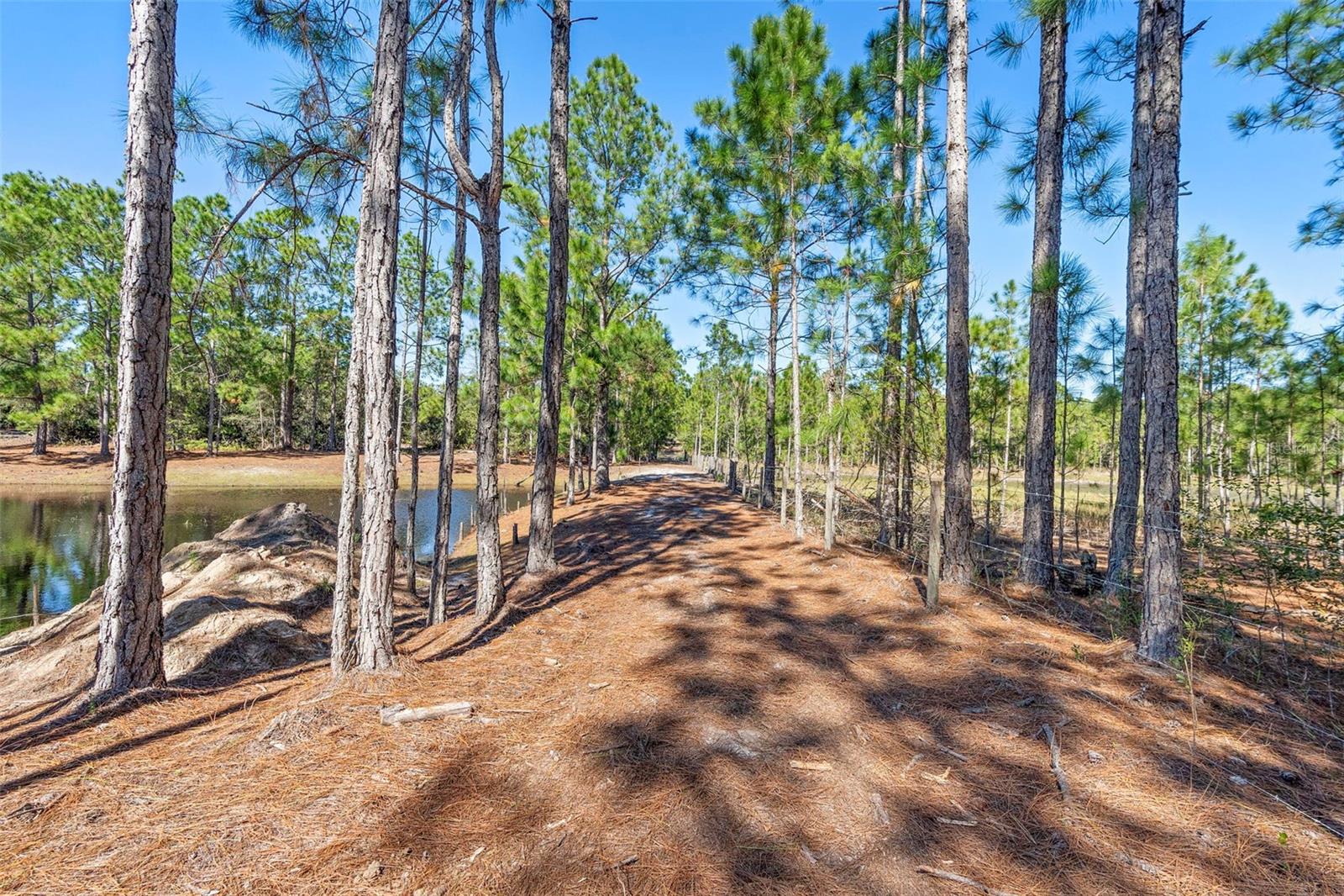 DEEP WOODS RD, PAISLEY, FL — photo 97