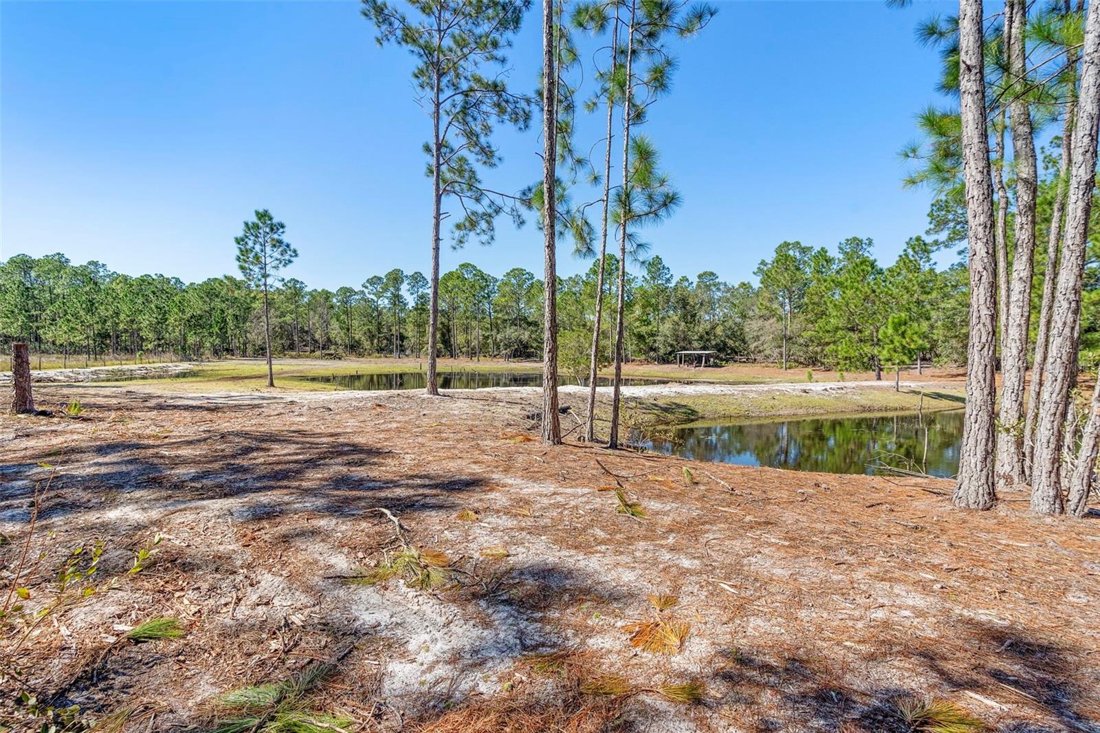 DEEP WOODS RD, PAISLEY, FL — photo 98