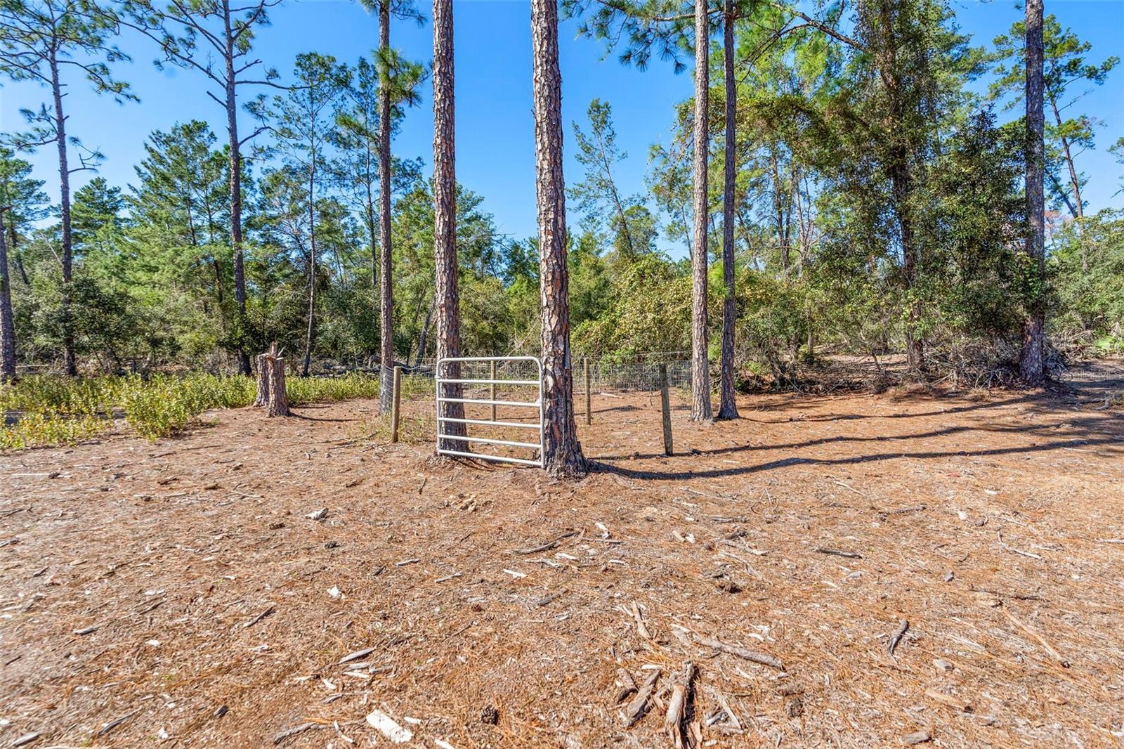 DEEP WOODS RD, PAISLEY, FL — photo 101