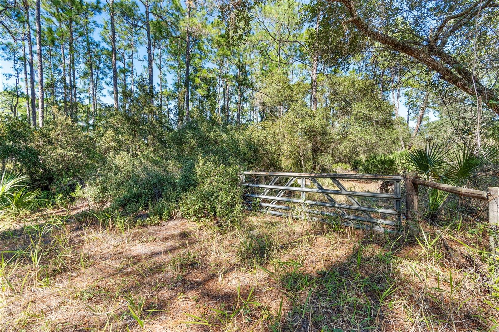 DEEP WOODS RD, PAISLEY, FL — photo 102