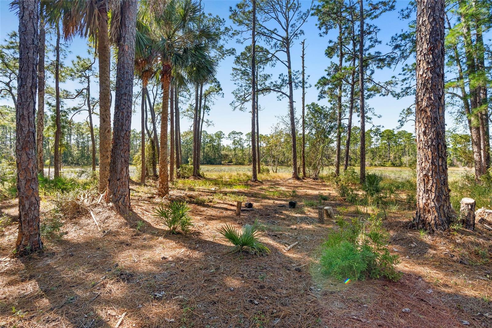 DEEP WOODS RD, PAISLEY, FL — photo 104