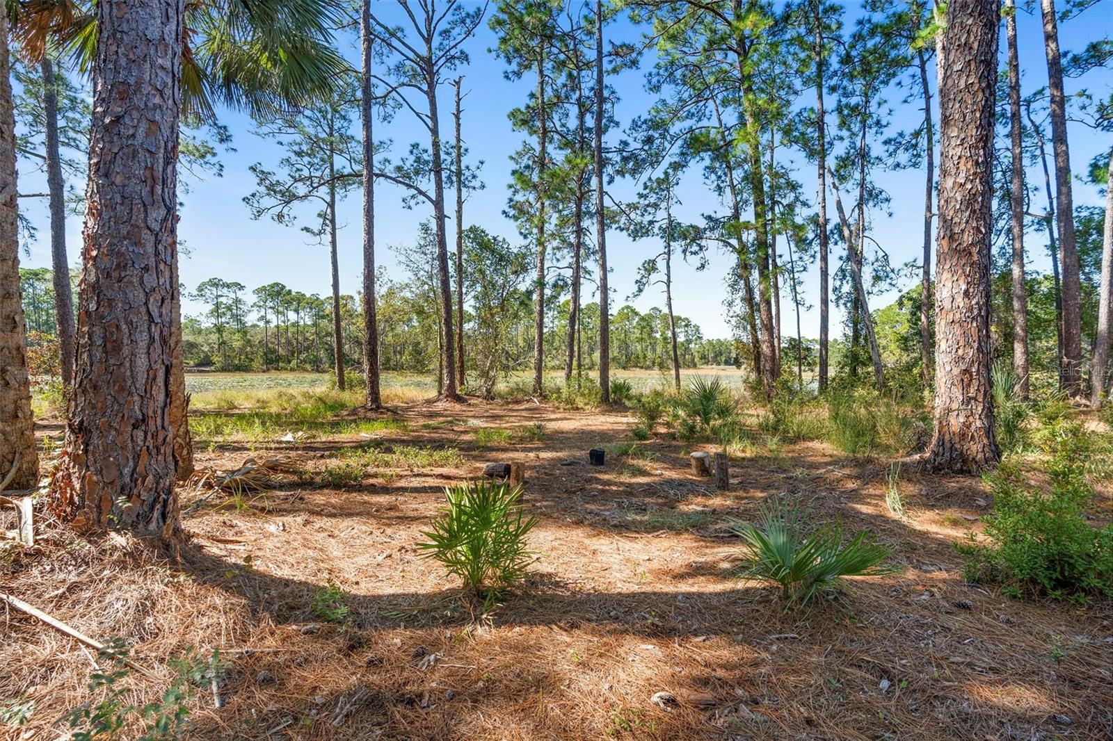 DEEP WOODS RD, PAISLEY, FL — photo 106