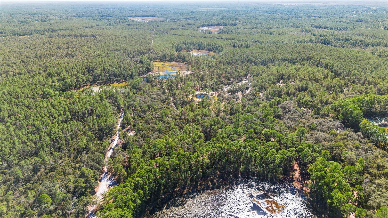 DEEP WOODS RD, PAISLEY, FL — photo 113