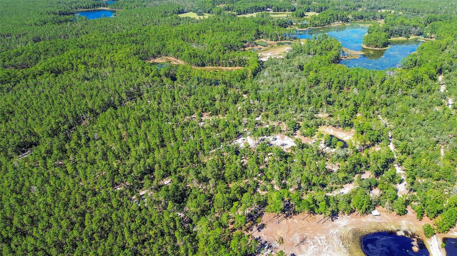 DEEP WOODS RD, PAISLEY, FL — photo 114