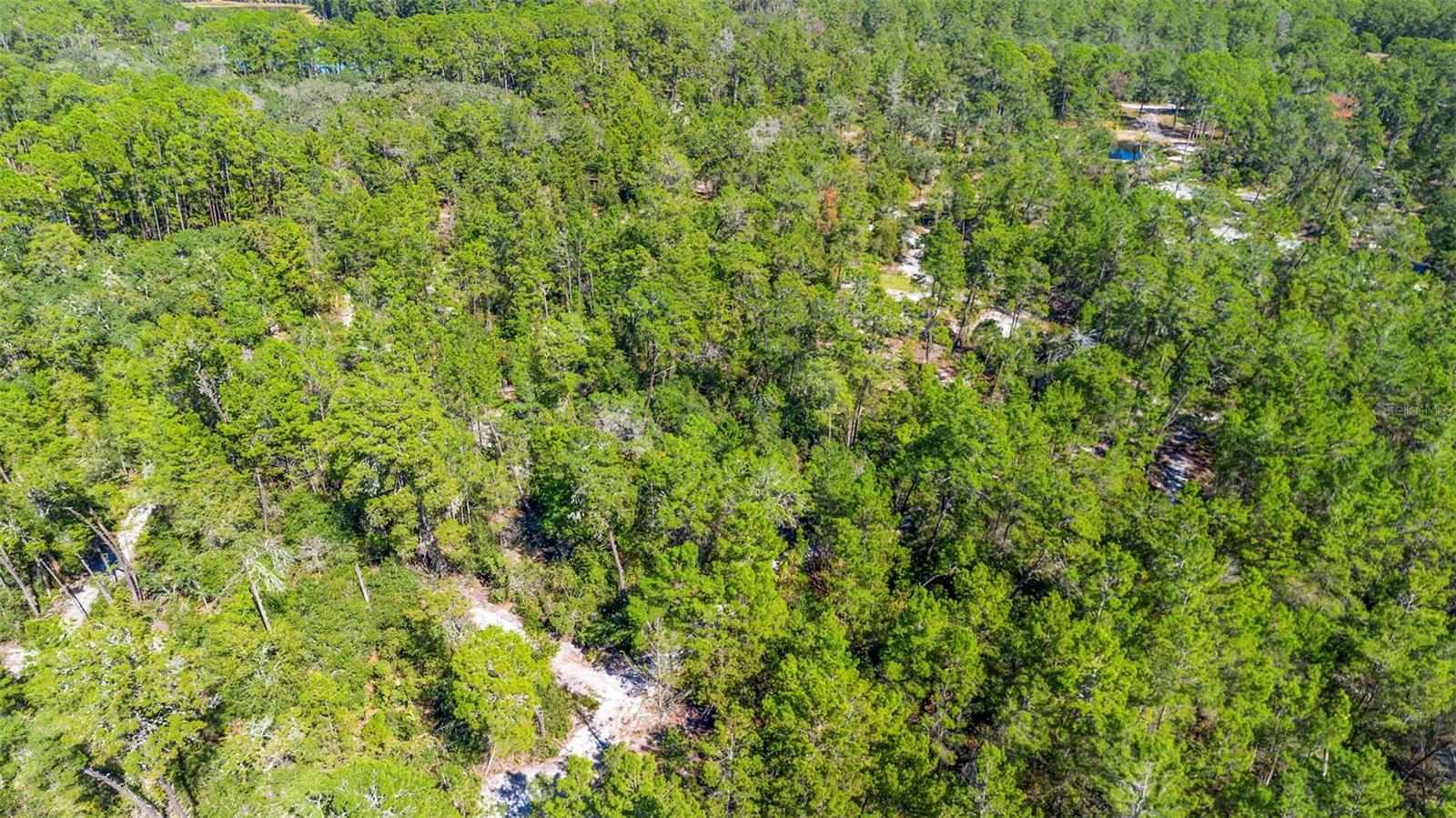 DEEP WOODS RD, PAISLEY, FL — photo 116