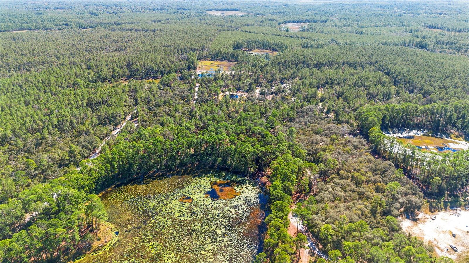 DEEP WOODS RD, PAISLEY, FL — photo 119