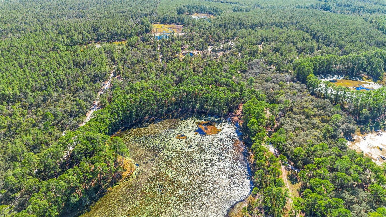 DEEP WOODS RD, PAISLEY, FL — photo 121