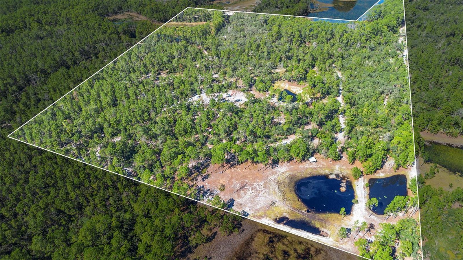 DEEP WOODS RD, PAISLEY, FL — photo 4