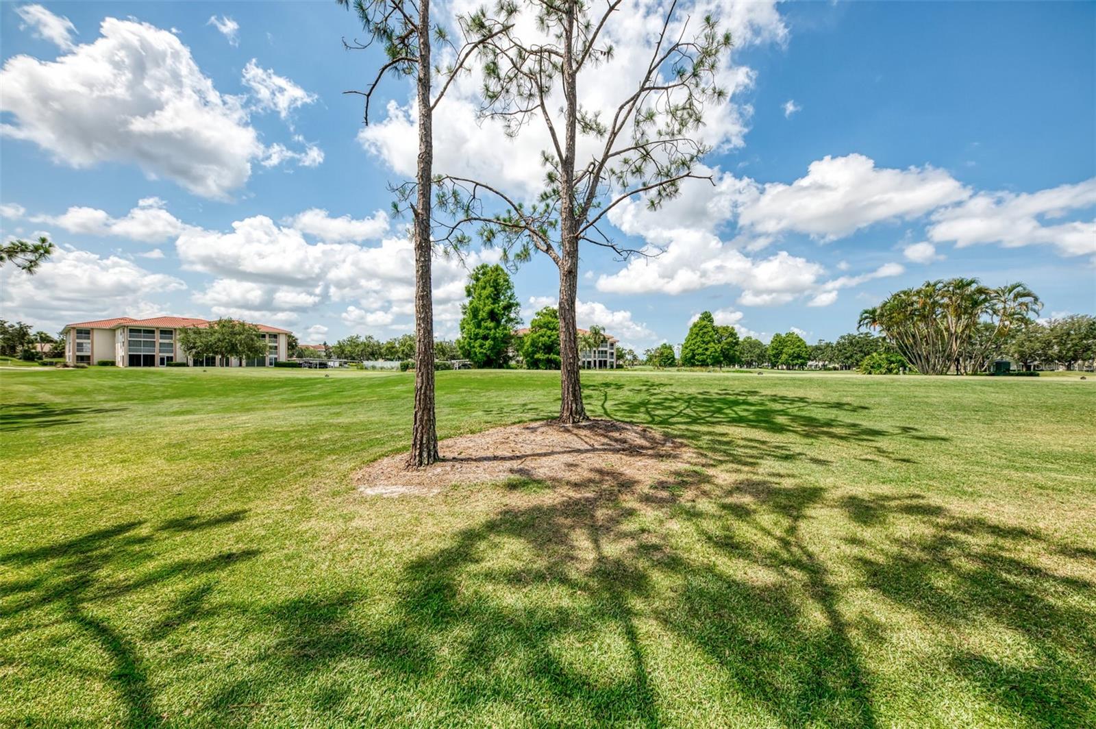 6546 FAIRWAY GARDENS DR #6546, BRADENTON, FL — photo 42