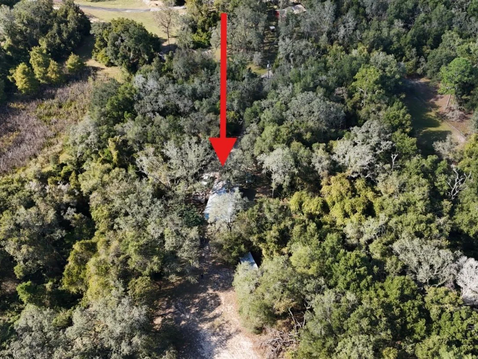 8735 CR 631A, BUSHNELL, FL — photo 4