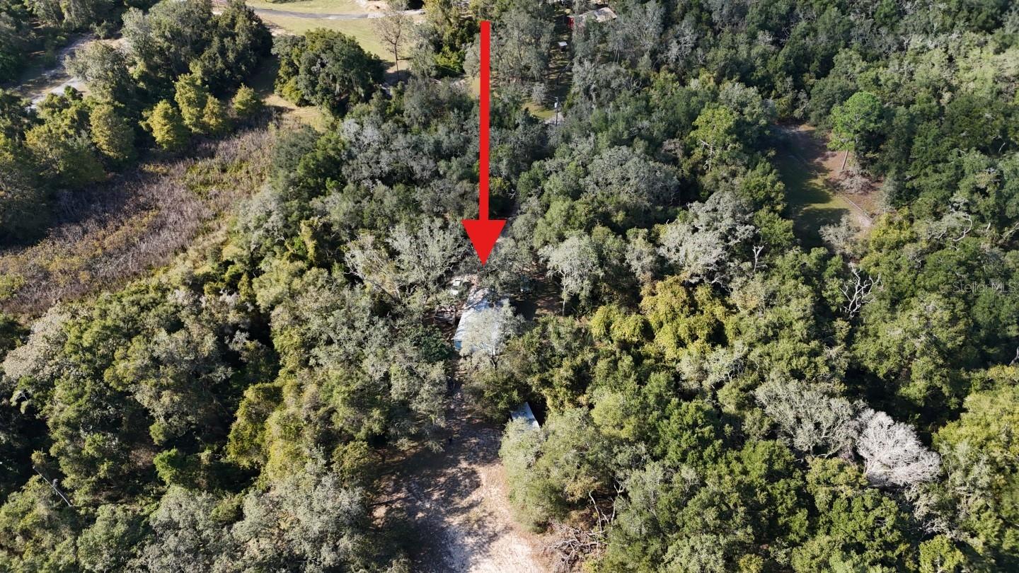 8735 CR 631A, BUSHNELL, FL — photo 3