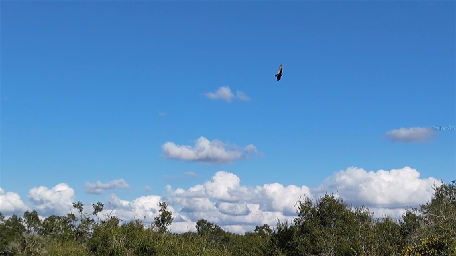 8735 CR 631A, BUSHNELL, FL — photo 27