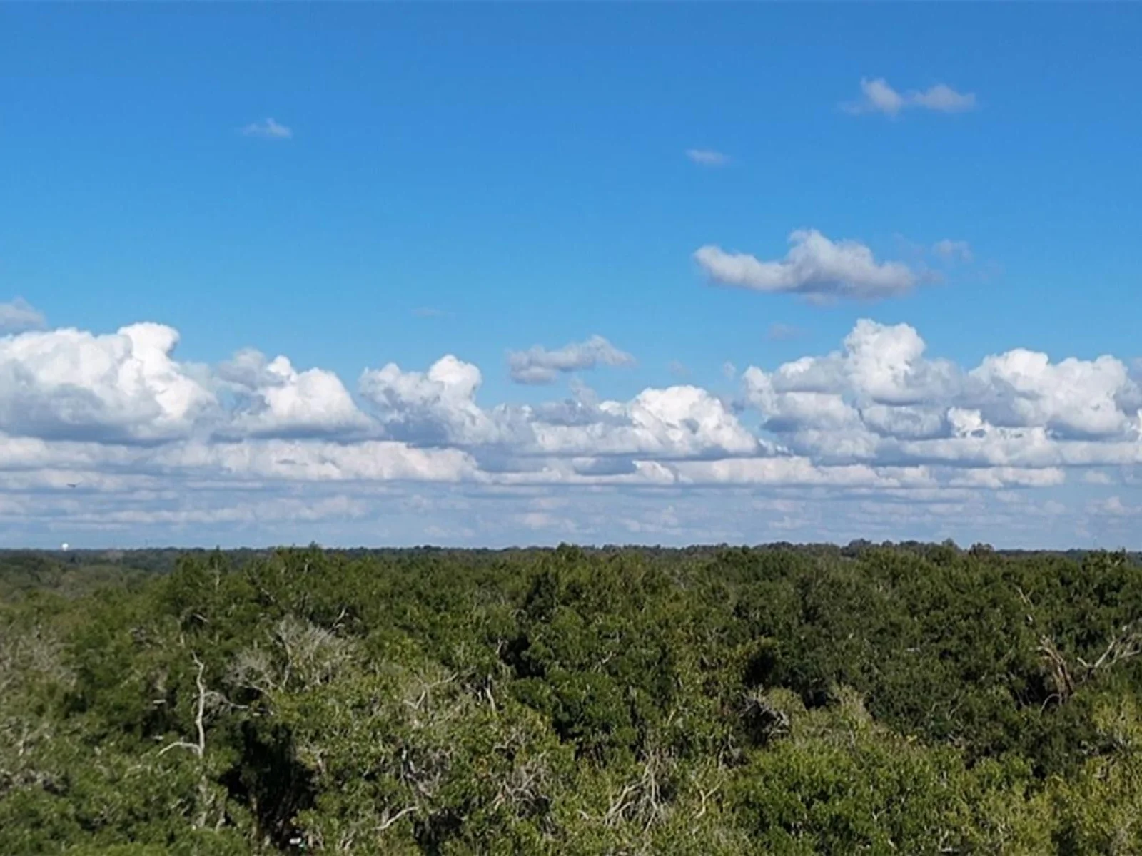 8735 CR 631A, BUSHNELL, FL — photo 30