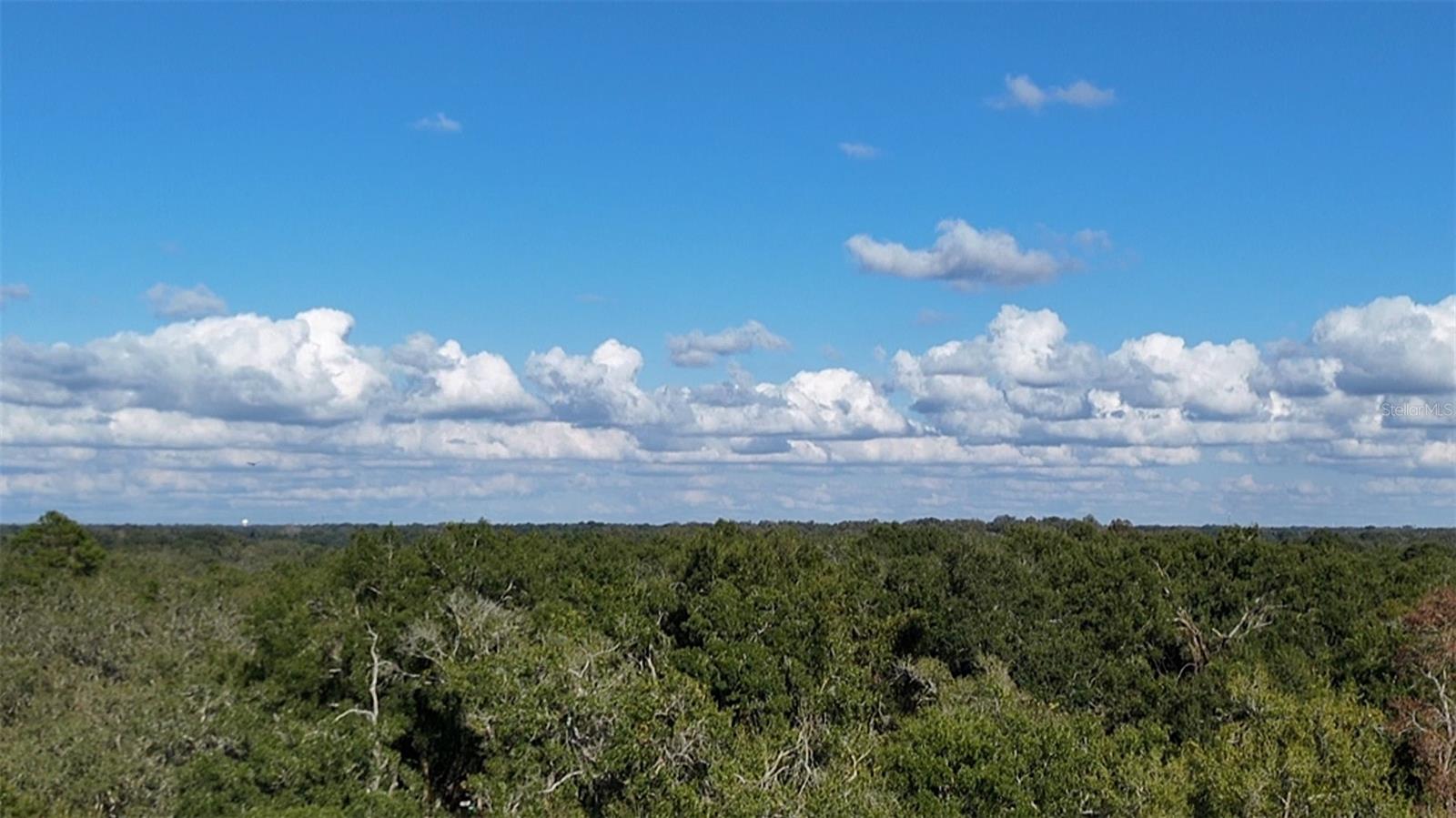 8735 CR 631A, BUSHNELL, FL — photo 29