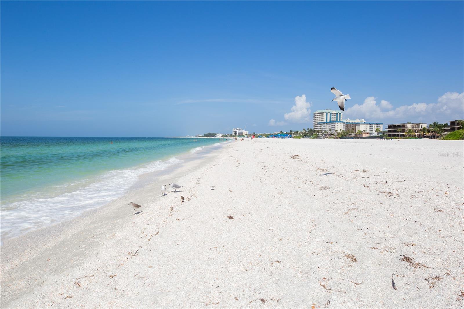 1212 BENJAMIN FRANKLIN DR #508, SARASOTA, FL — photo 40