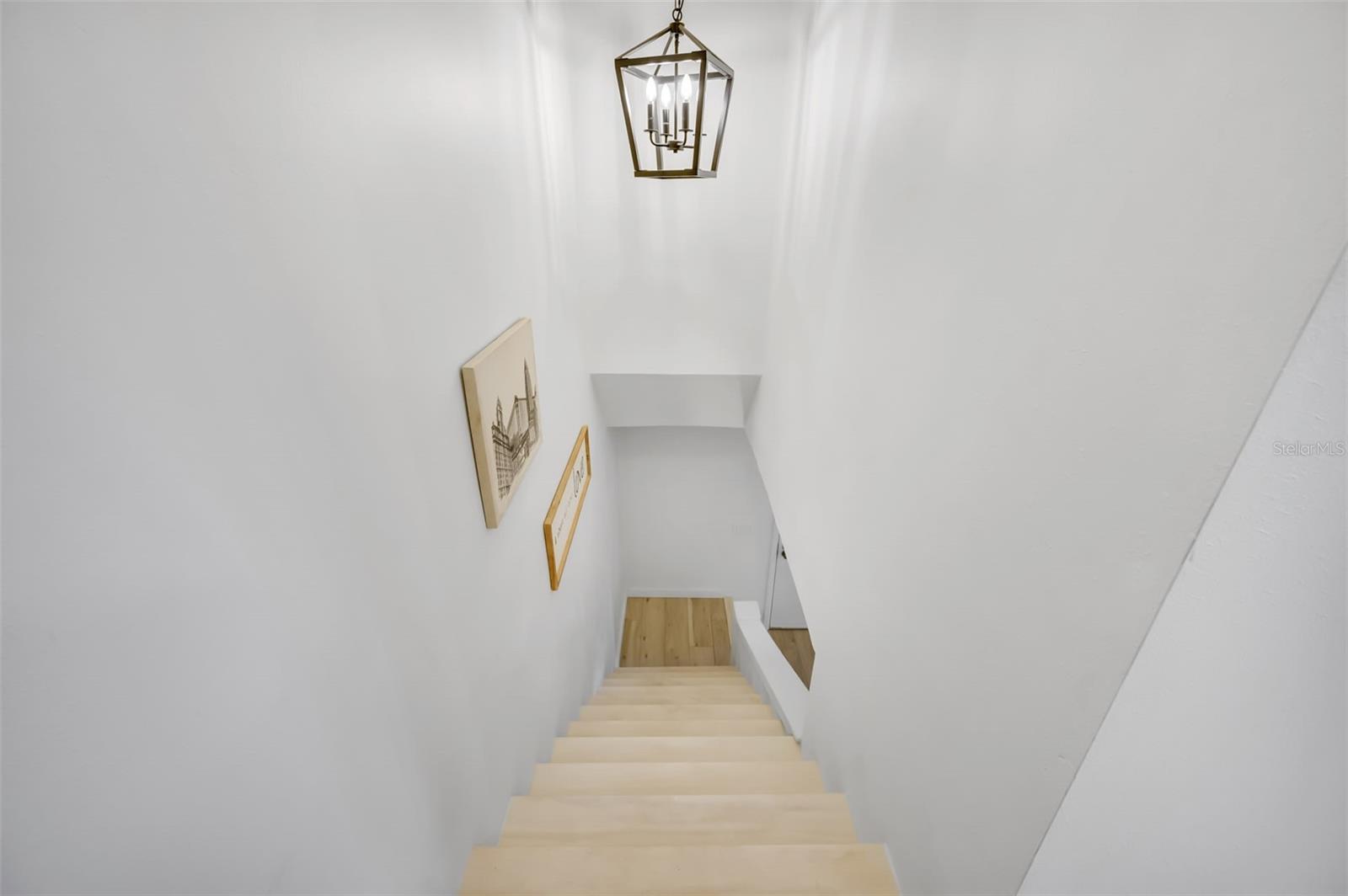 2900 LICHEN LN #B, CLEARWATER, FL — photo 25