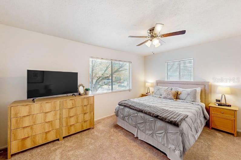 2900 LICHEN LN #B, CLEARWATER, FL — photo 35