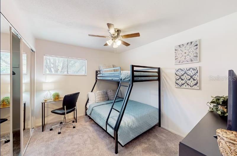 2900 LICHEN LN #B, CLEARWATER, FL — photo 37