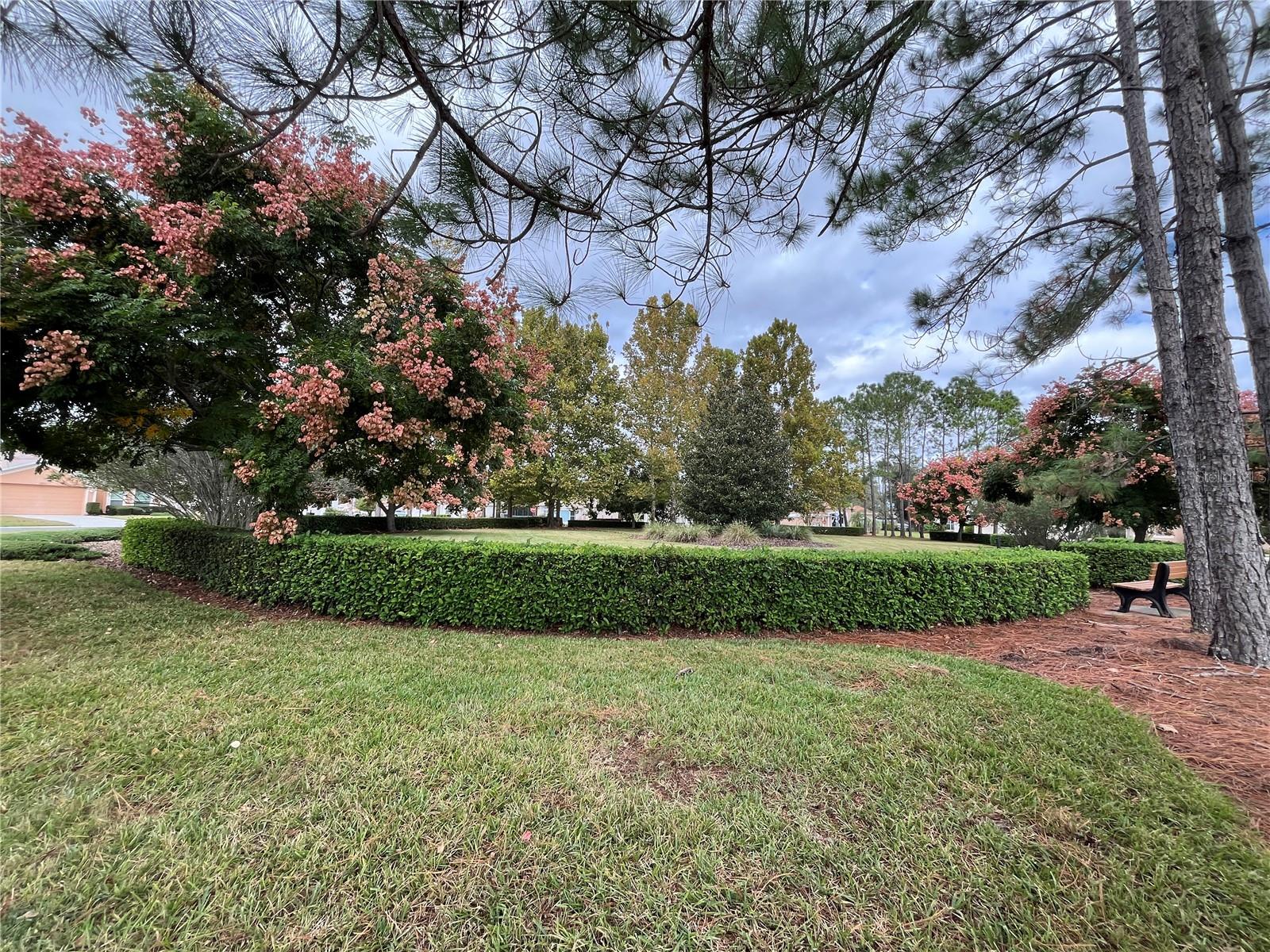 11321 COPLEY CT, SPRING HILL, FL — photo 58