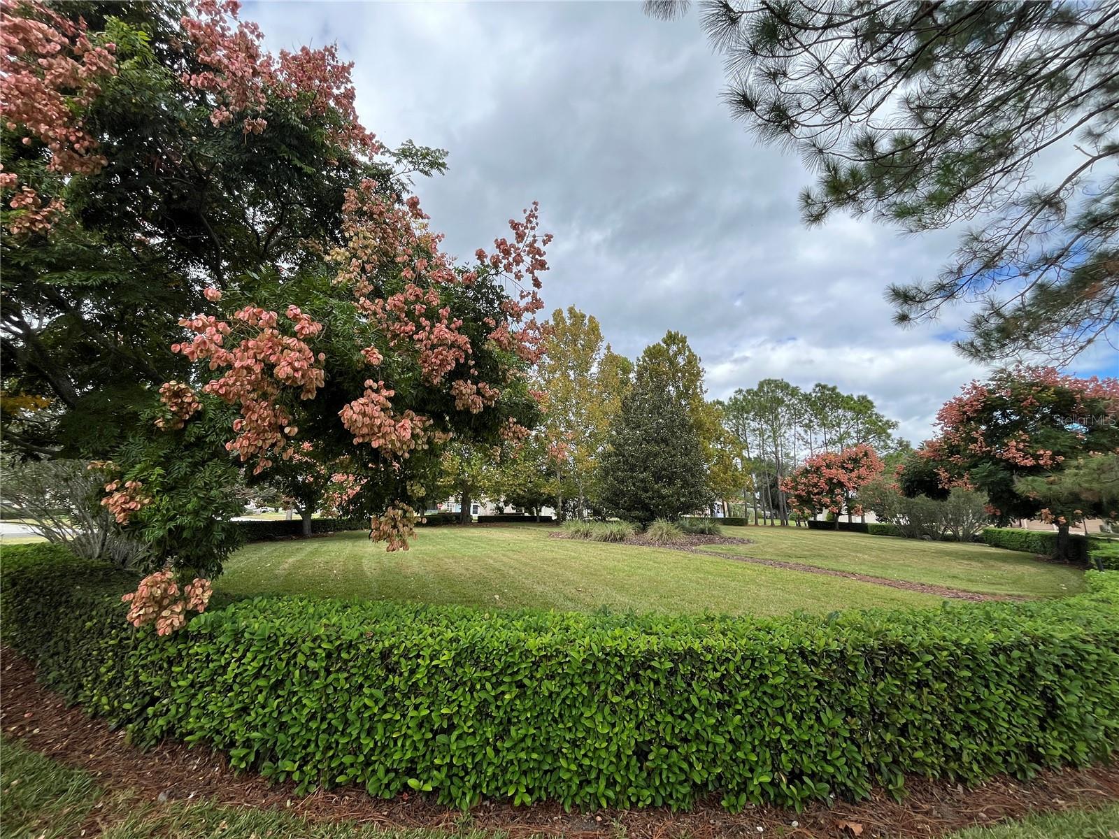 11321 COPLEY CT, SPRING HILL, FL — photo 59