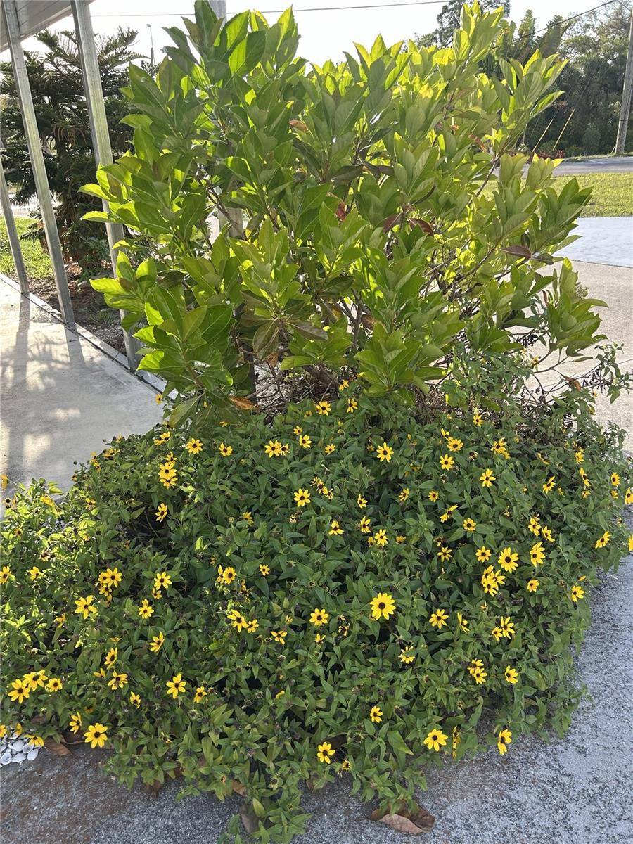 1891 ENGLEWOOD RD #45, ENGLEWOOD, FL — photo 53