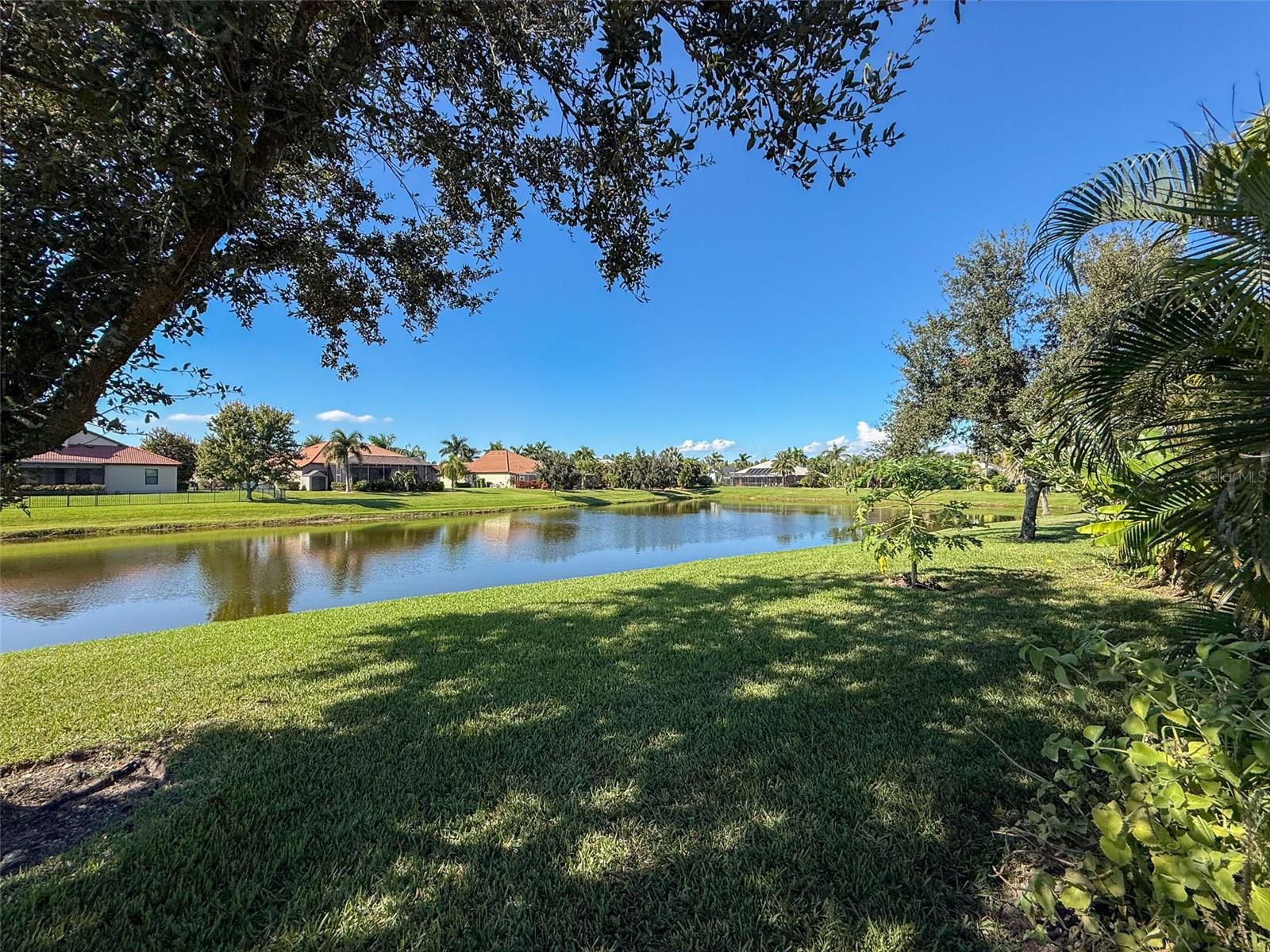 335 COCKLE SHELL LOOP, APOLLO BEACH, FL — photo 51