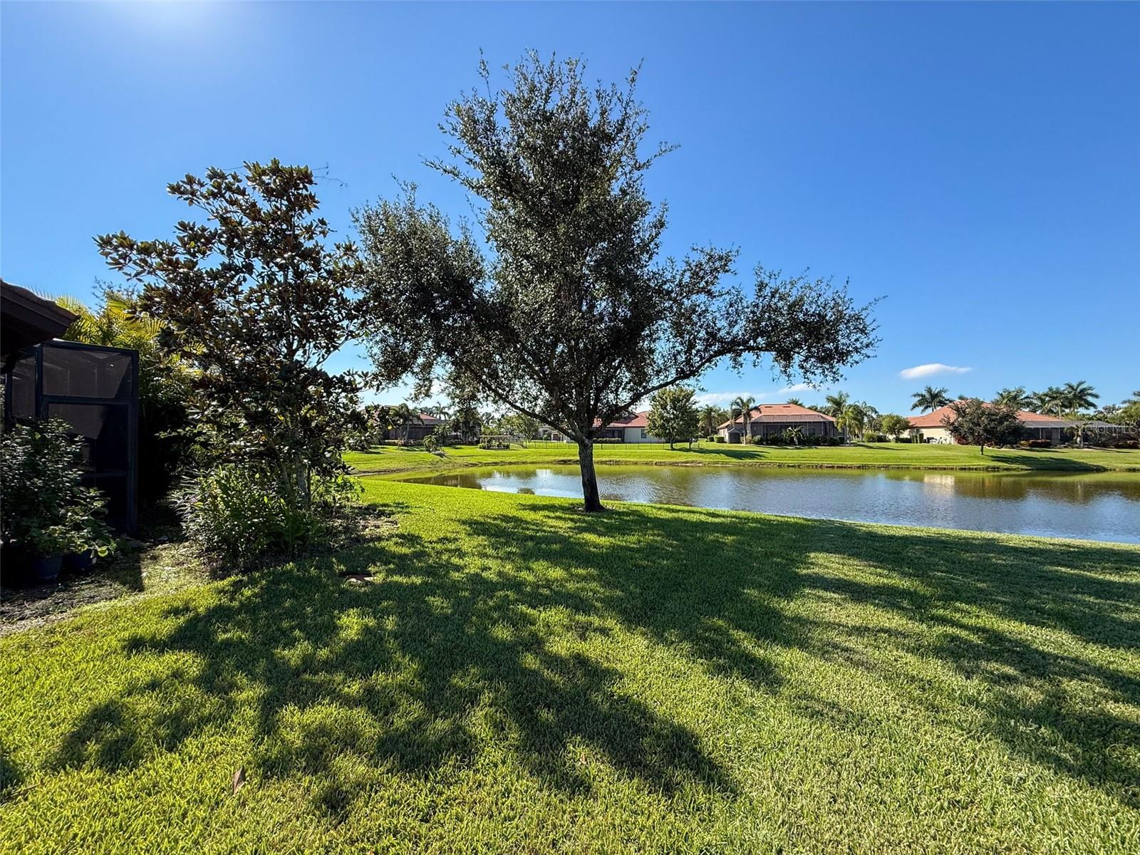 335 COCKLE SHELL LOOP, APOLLO BEACH, FL — photo 54
