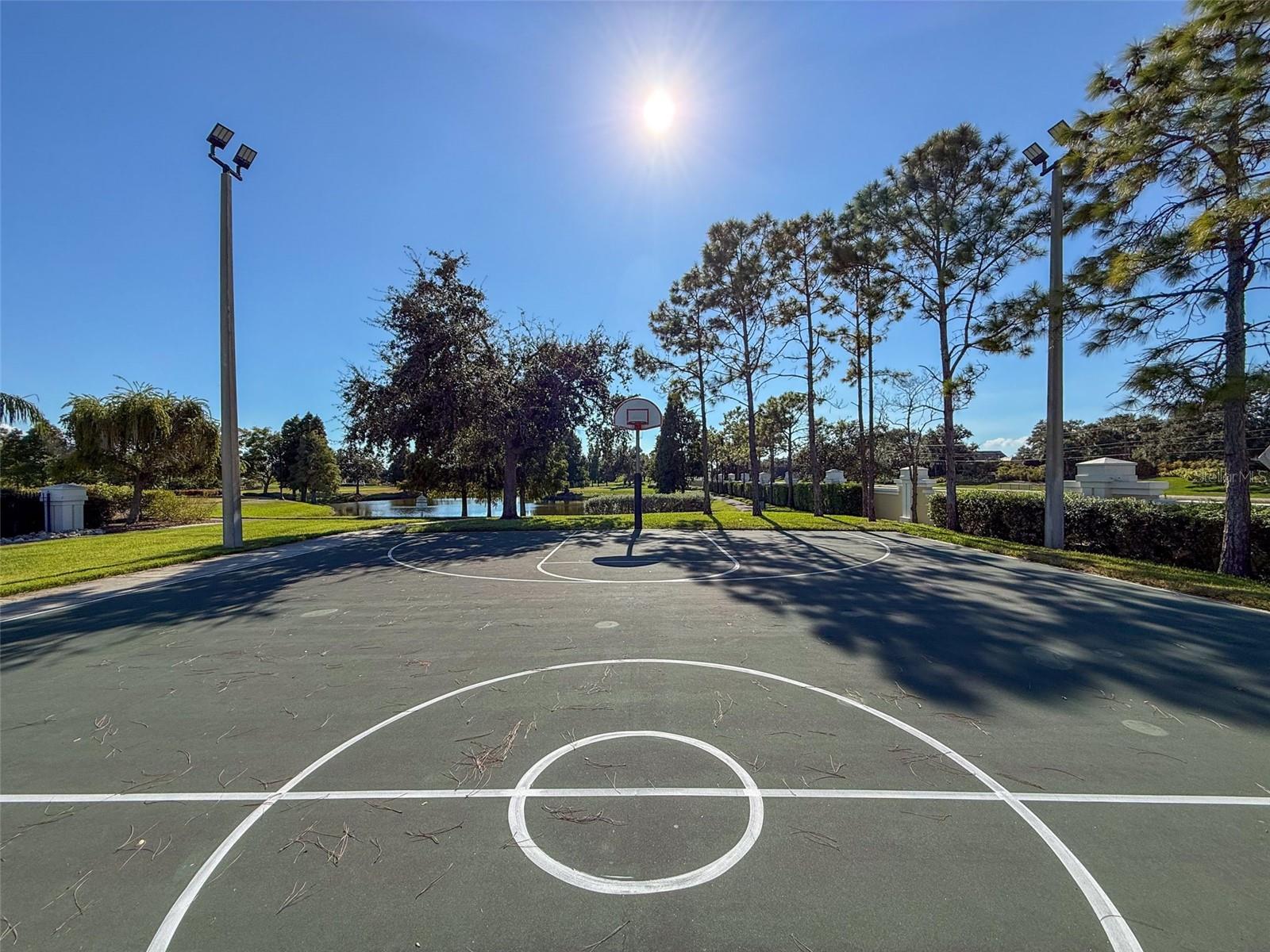335 COCKLE SHELL LOOP, APOLLO BEACH, FL — photo 88