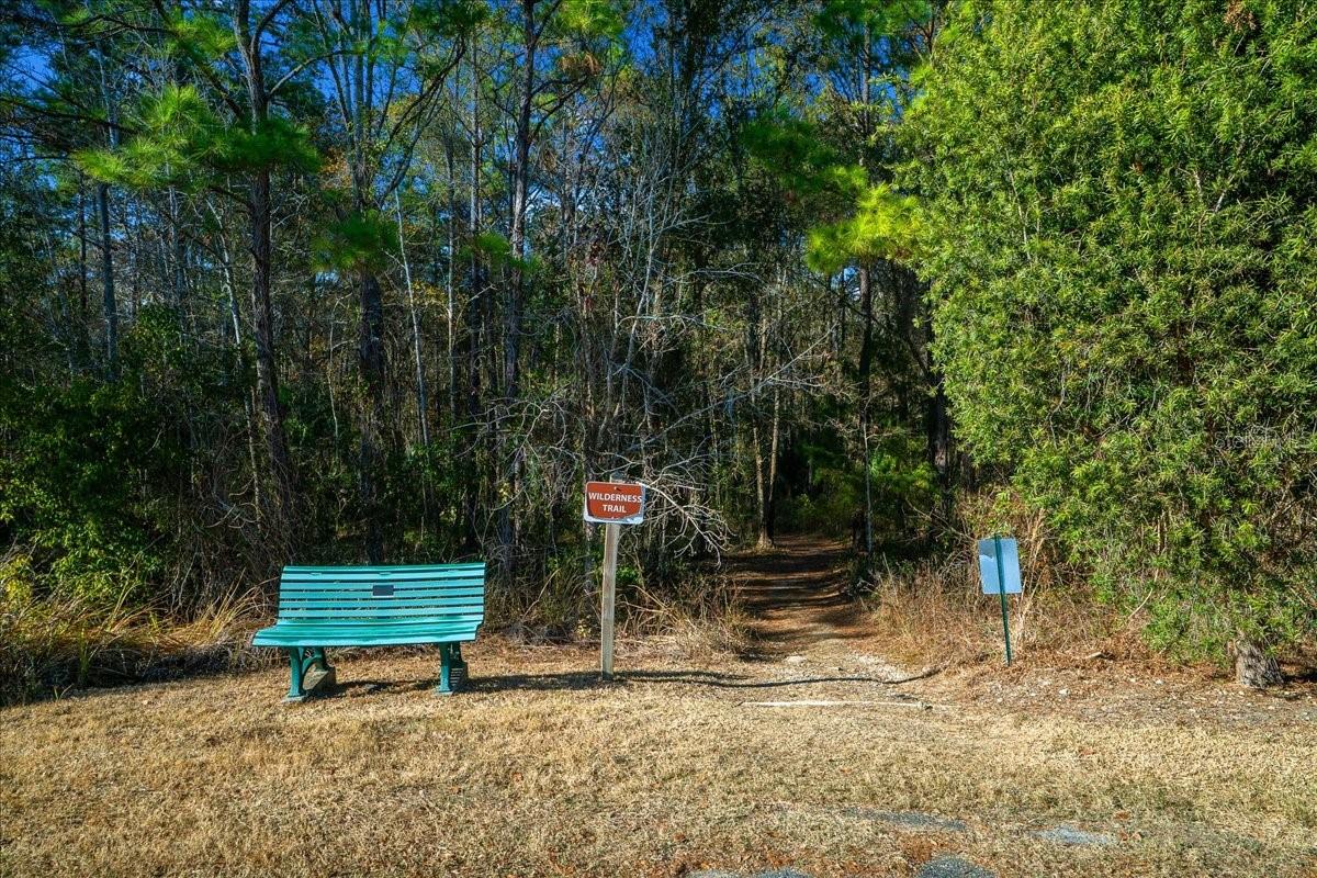 3259 NE 102ND AVENUE RD, SILVER SPRINGS, FL — photo 80