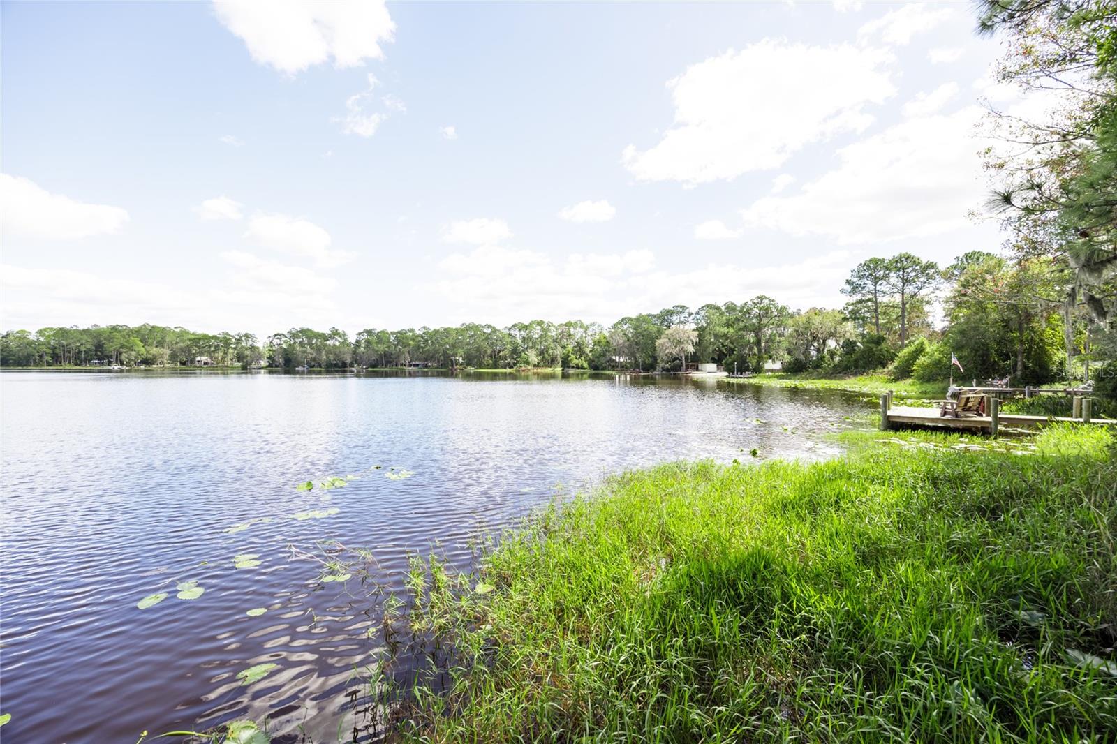 239 RILEY LAKE DR, HAWTHORNE, FL — photo 67