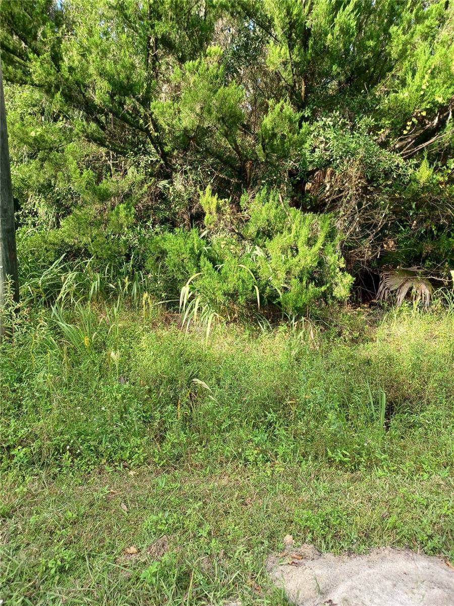 WINONA DR, GENEVA, FL