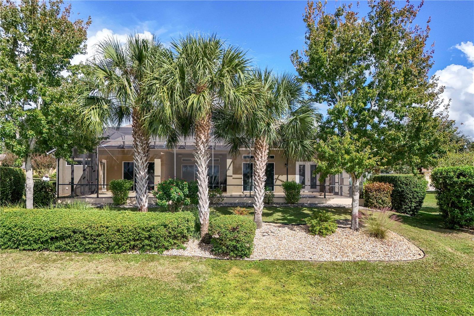 8065 BRIDGEPORT BAY CIR, MOUNT DORA, FL — photo 88
