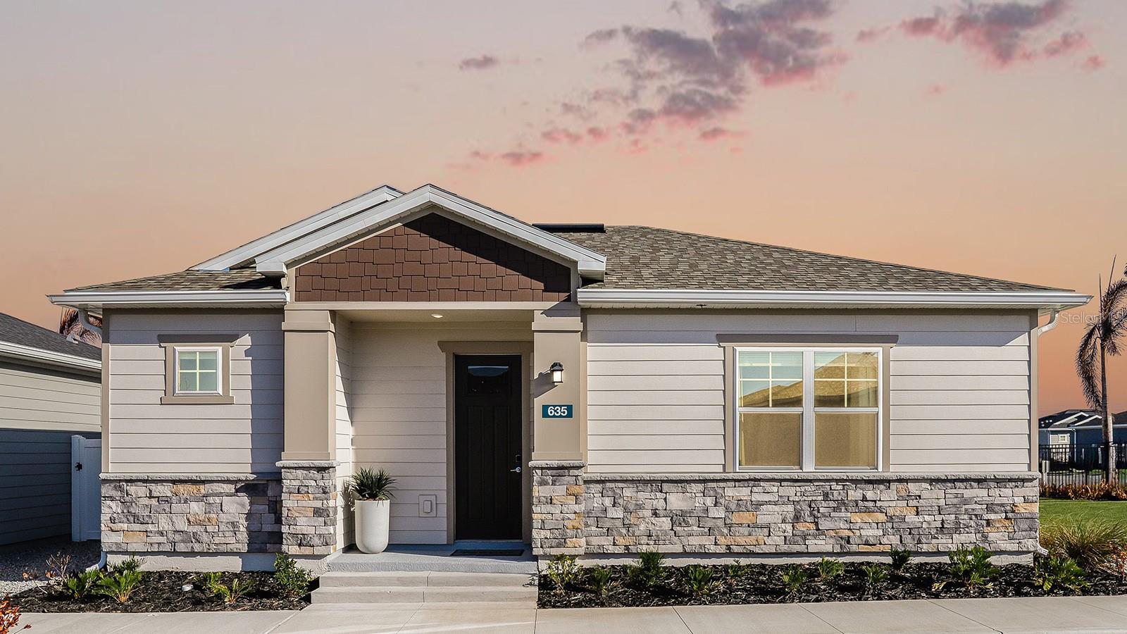 2507 KOJI ST #Elevate, MOUNT DORA, FL