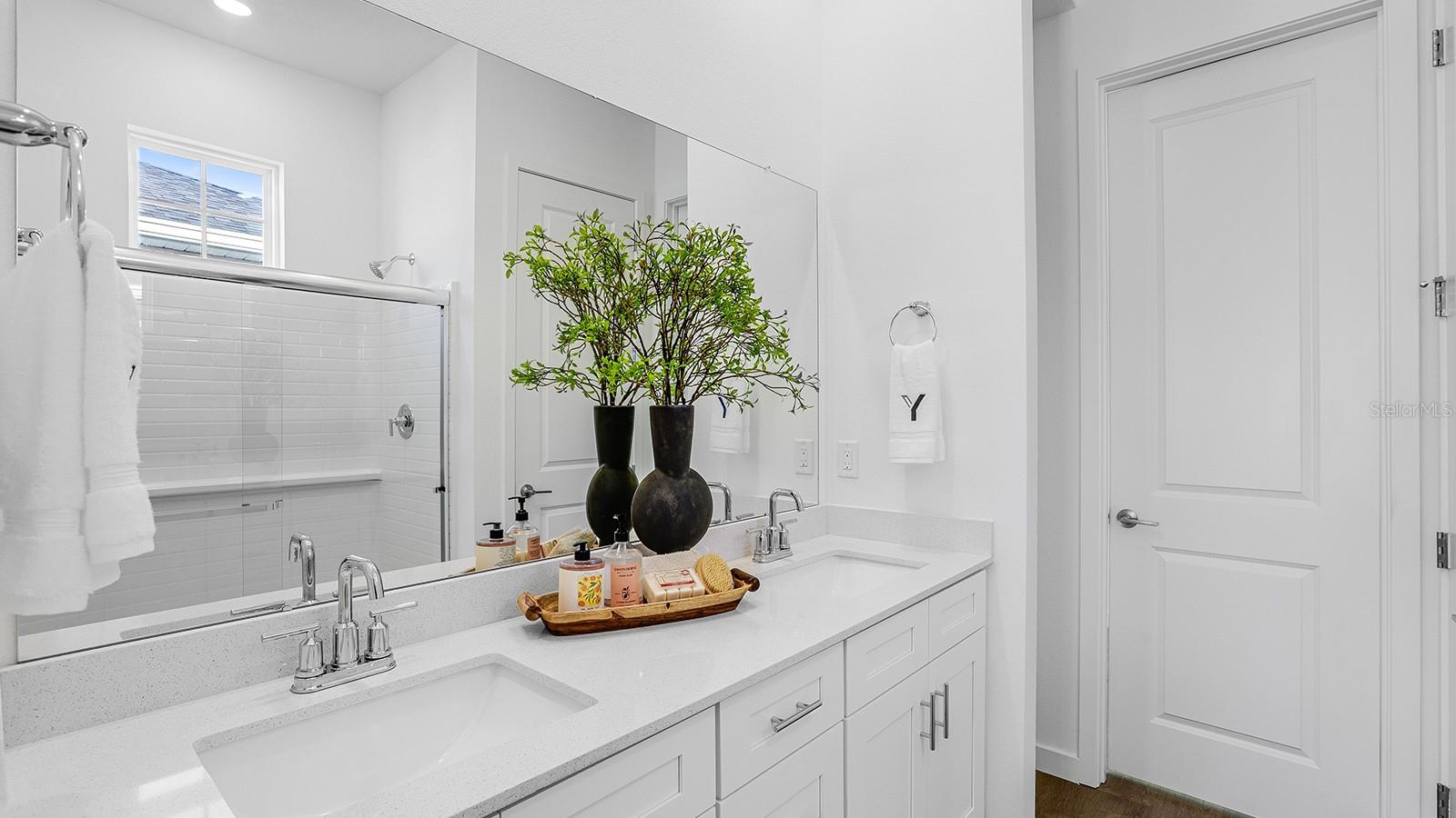2507 KOJI ST #Elevate, MOUNT DORA, FL — photo 22