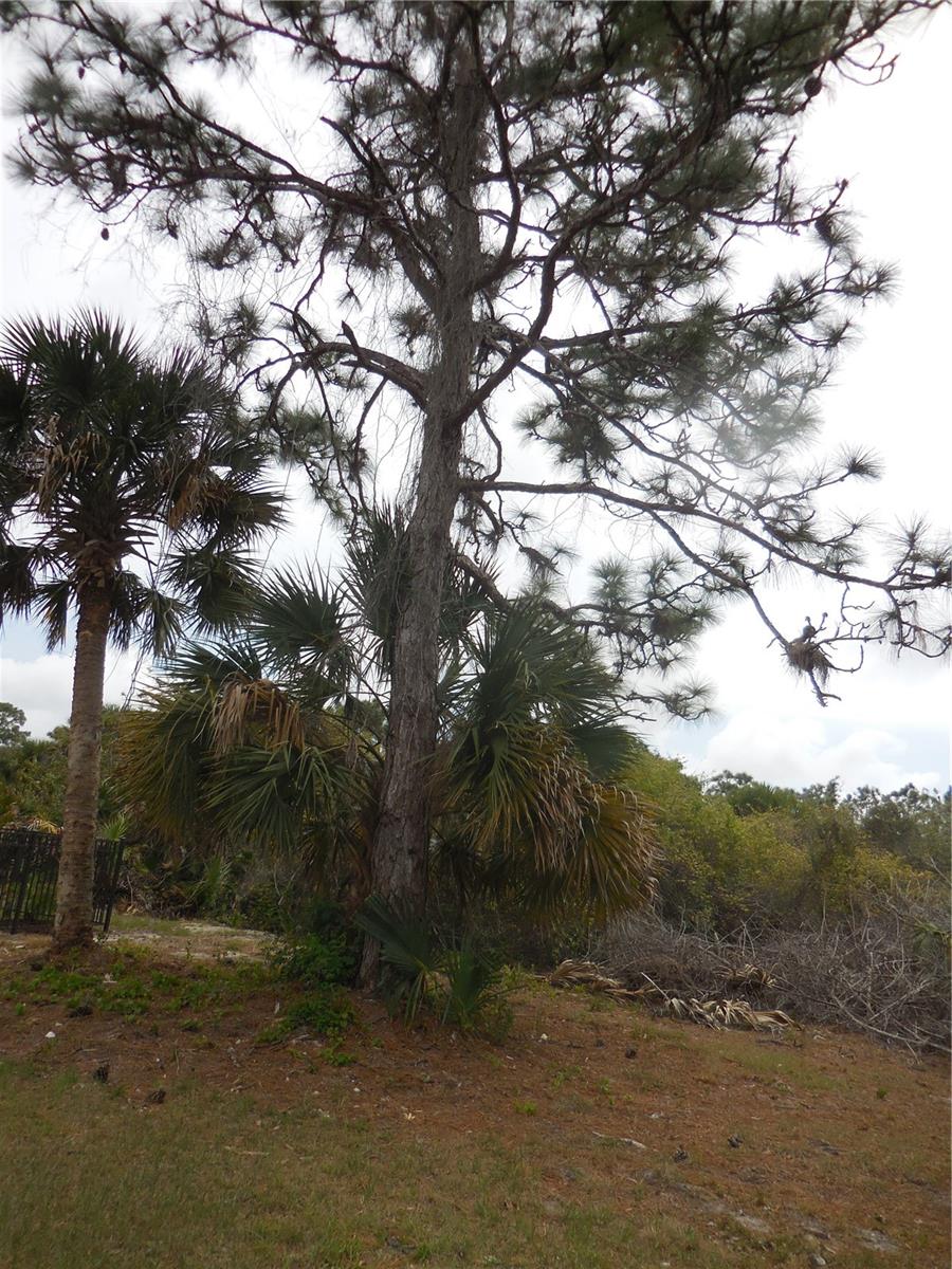 223 JENNIFER DR, ROTONDA WEST, FL — photo 3