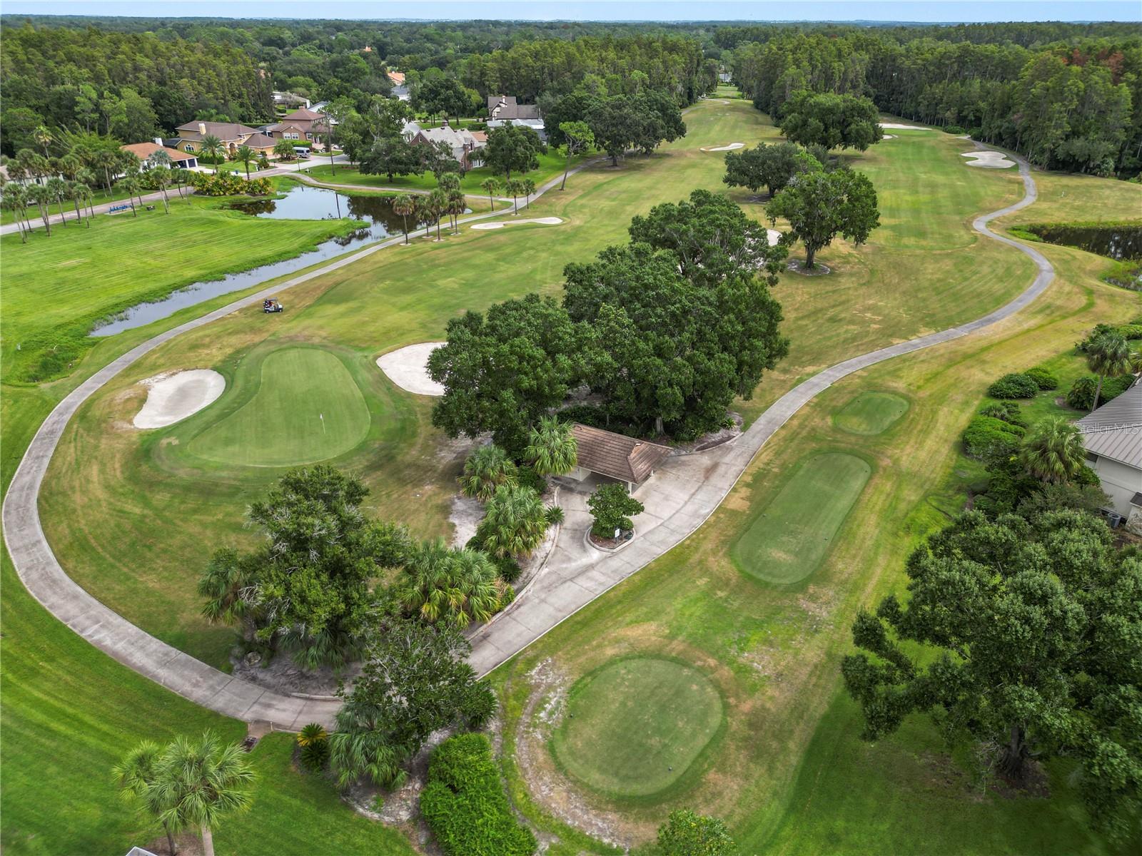 4947 MILL POND RD #3103, WESLEY CHAPEL, FL — photo 19