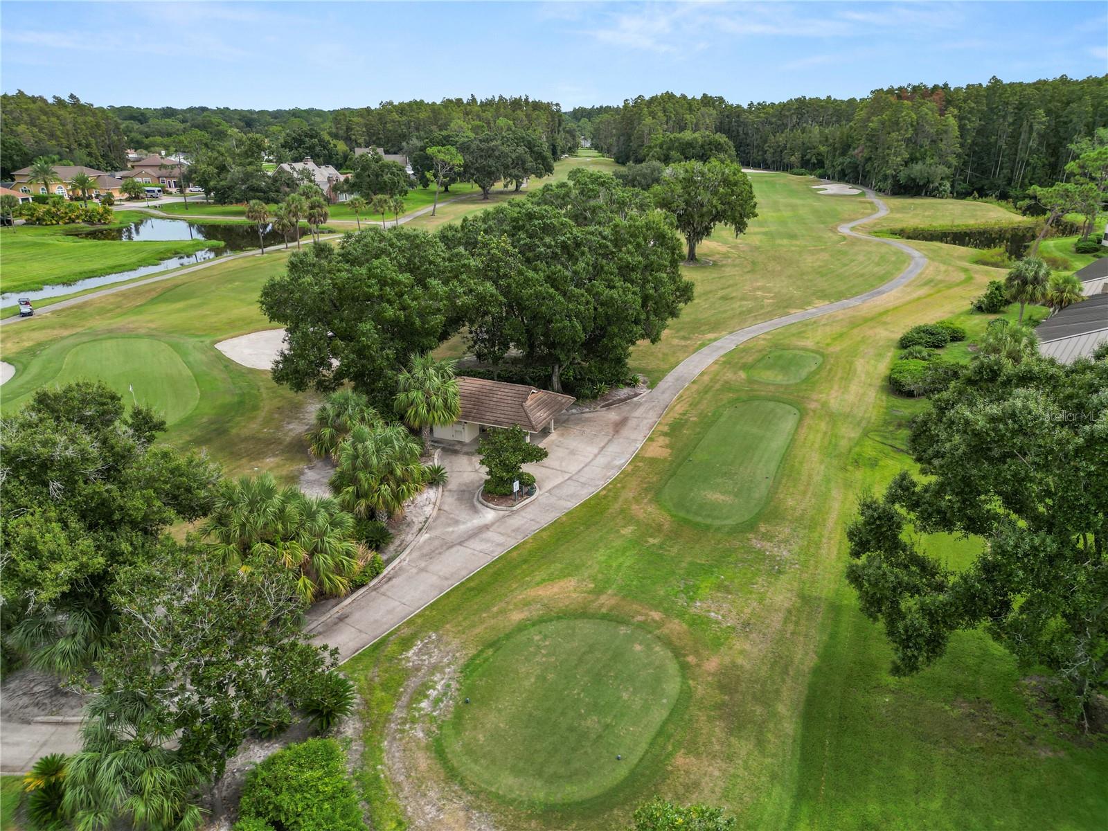 4947 MILL POND RD #3103, WESLEY CHAPEL, FL — photo 39