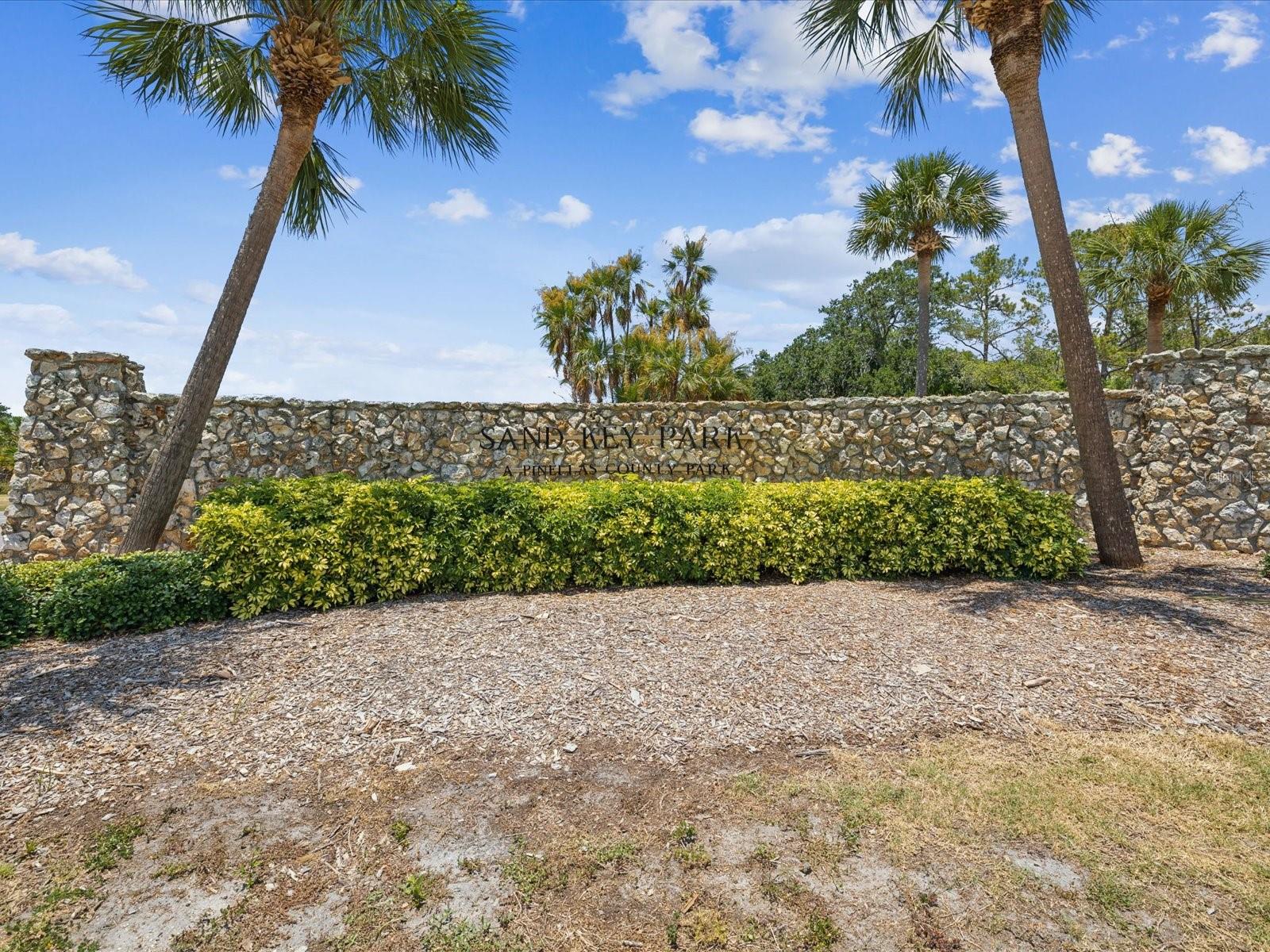 185 BRIGHTWATER DR #6, CLEARWATER BEACH, FL — photo 113