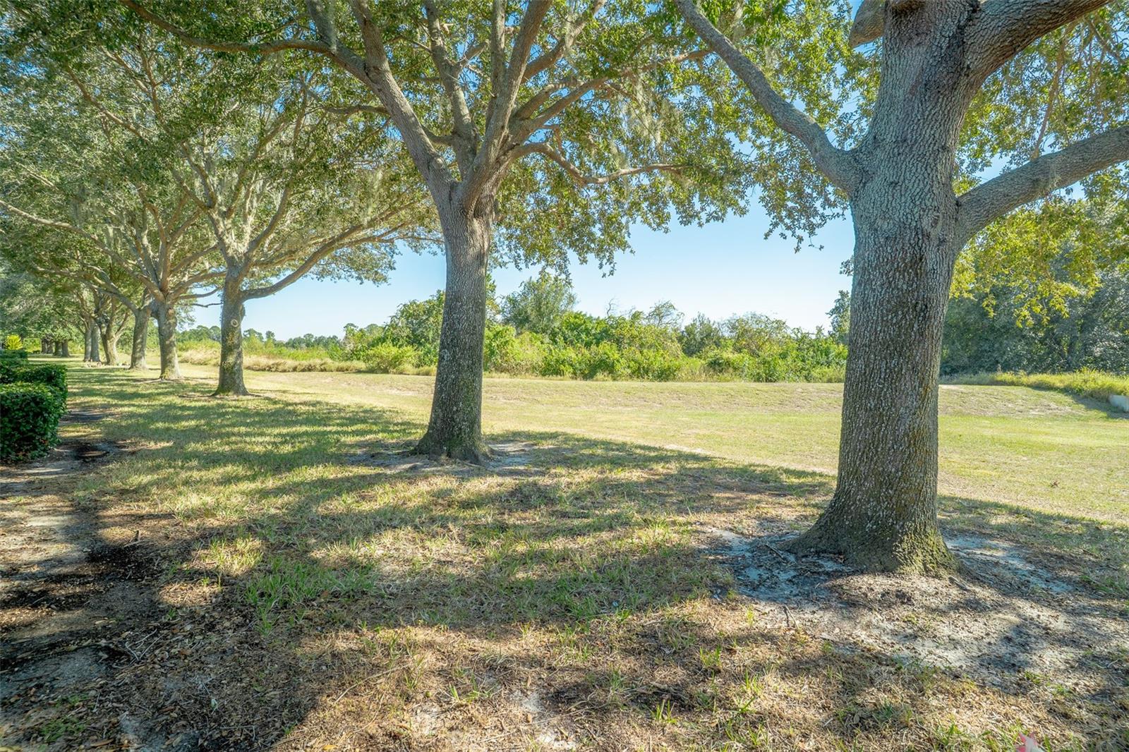 2739 RUTLEDGE CT, WINTER HAVEN, FL — photo 17