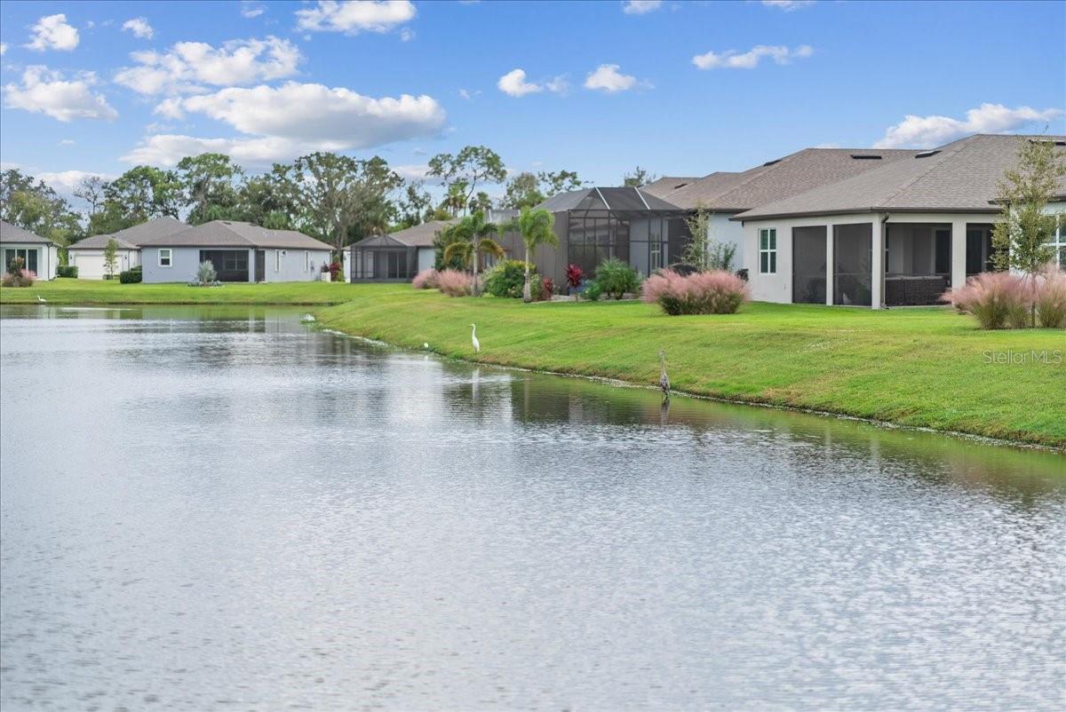 9434 BALLASTER POINTE LOOP, PARRISH, FL — photo 44