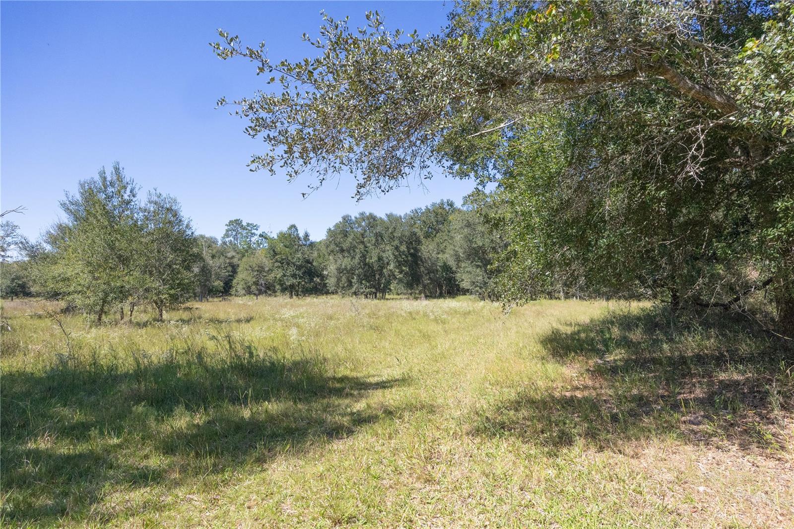 TBD CR 673, WEBSTER, FL — photo 9