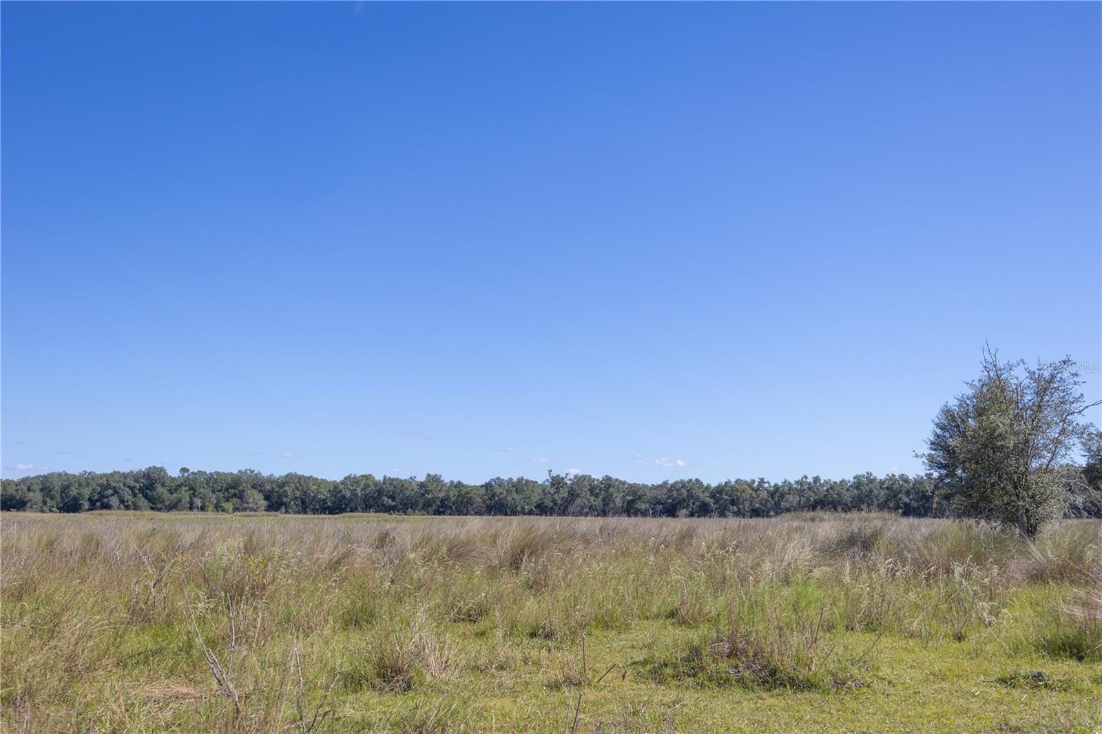 TBD CR 673, WEBSTER, FL — photo 10