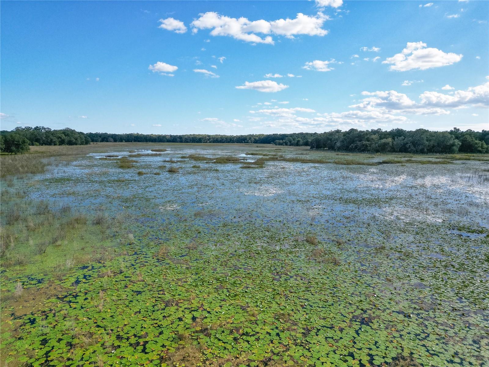 TBD CR 673, WEBSTER, FL — photo 11