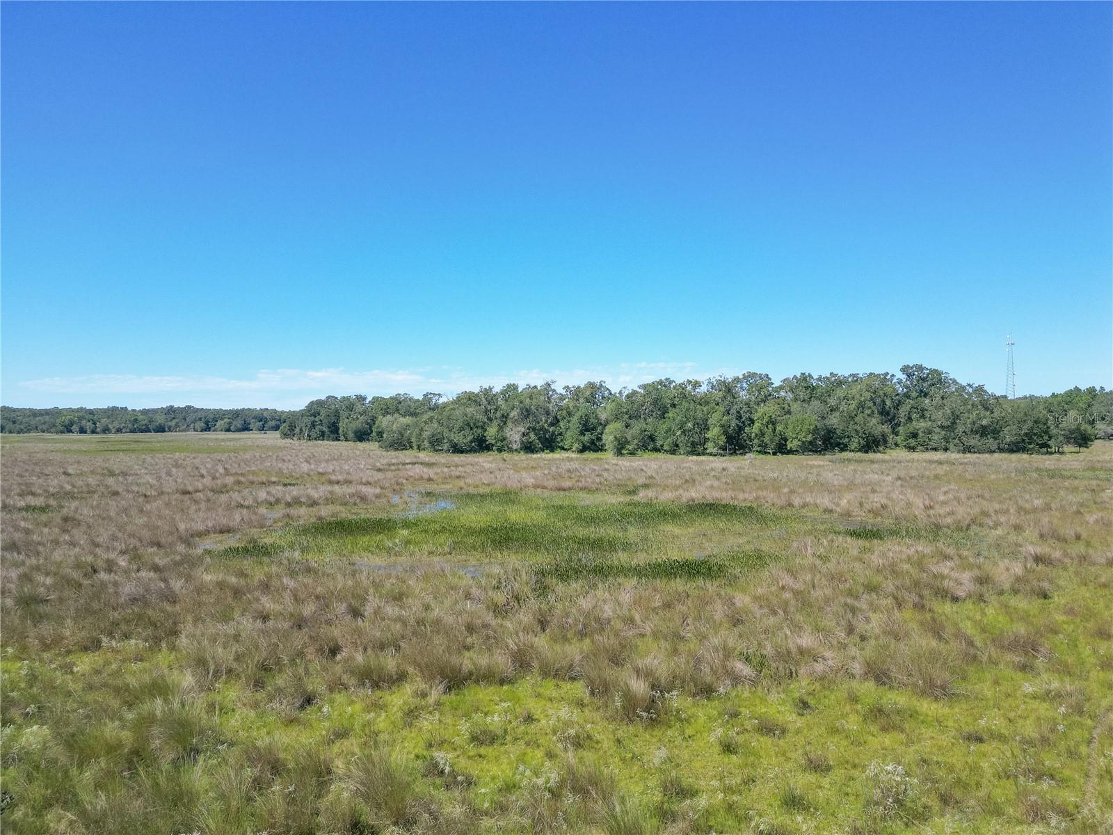 TBD CR 673, WEBSTER, FL — photo 14