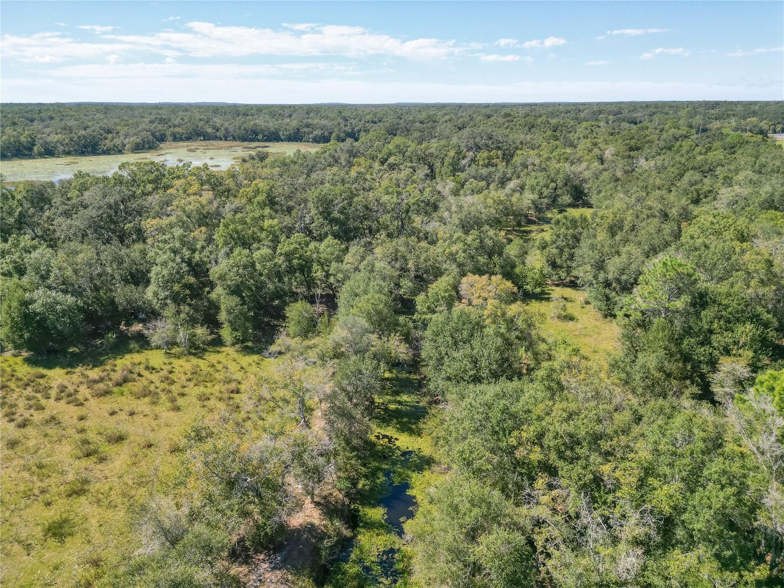 TBD CR 673, WEBSTER, FL — photo 15