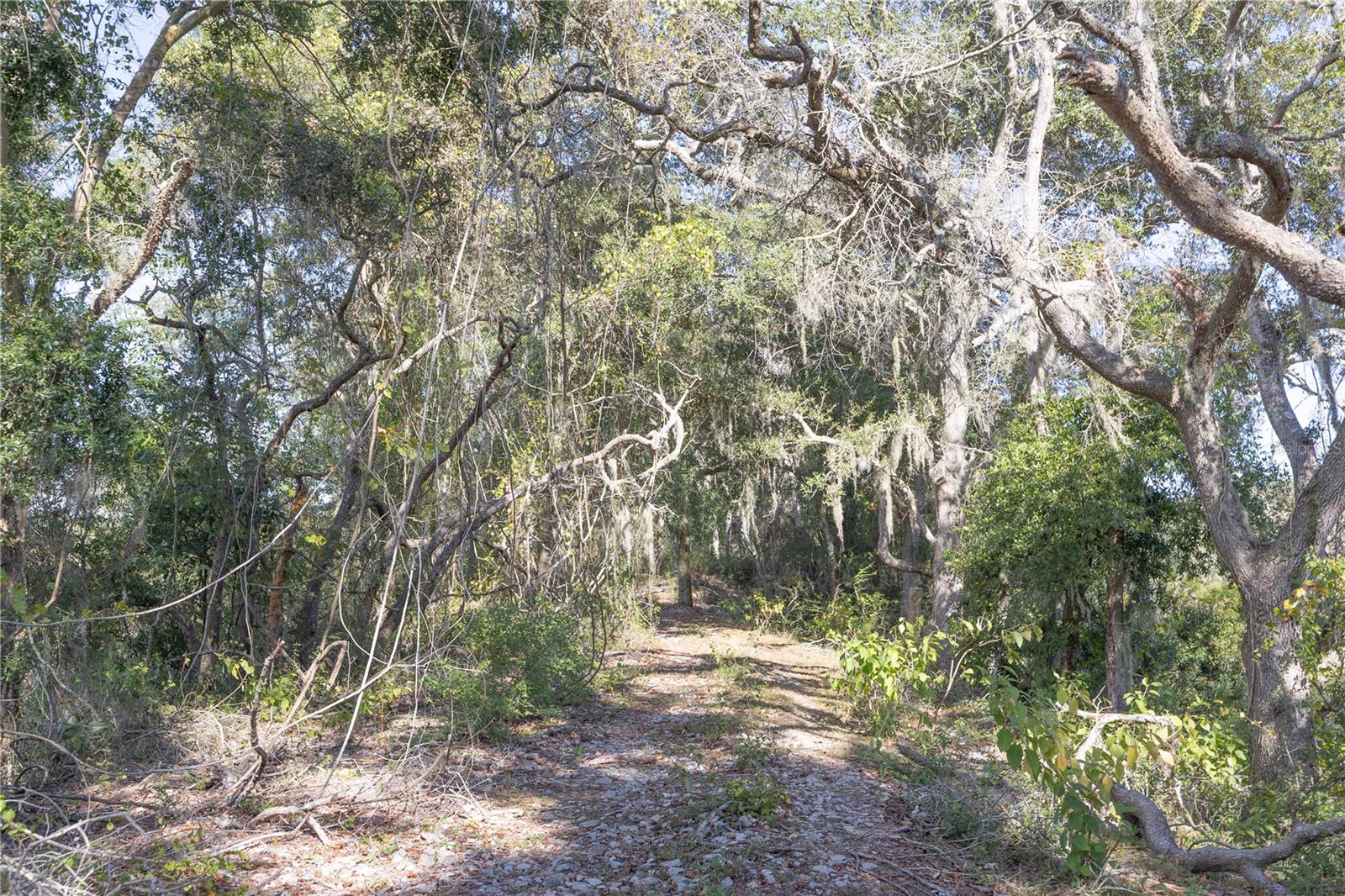 TBD CR 673, WEBSTER, FL — photo 17