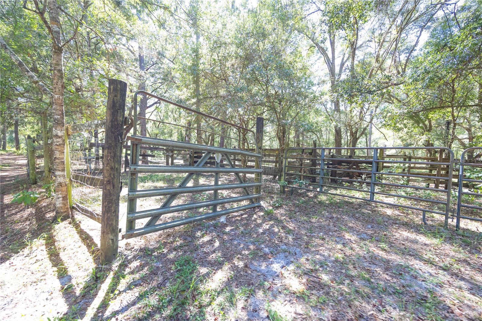 TBD CR 673, WEBSTER, FL — photo 18